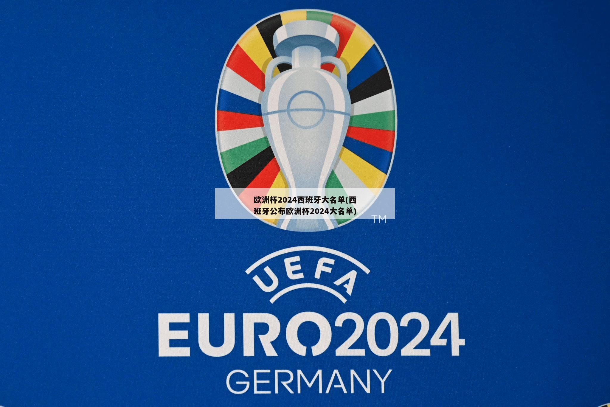 欧洲杯2024西班牙大名单(西班牙公布欧洲杯2024大名单)