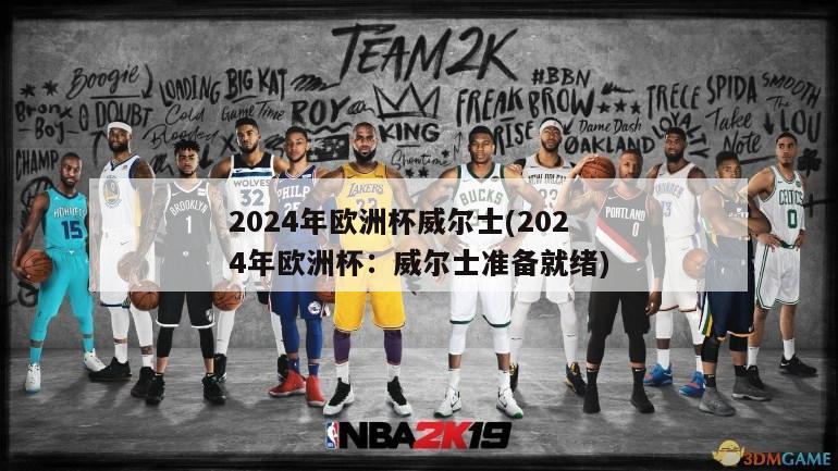 2024年欧洲杯威尔士(2024年欧洲杯：威尔士准备就绪)